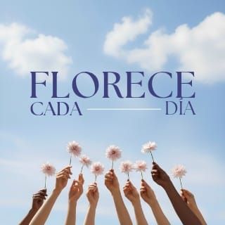 Florece Cada Día