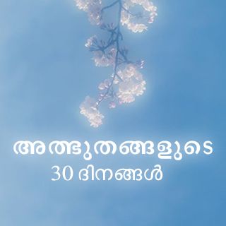 അത്ഭുതങ്ങളുടെ 30 ദിനങ്ങൾ
