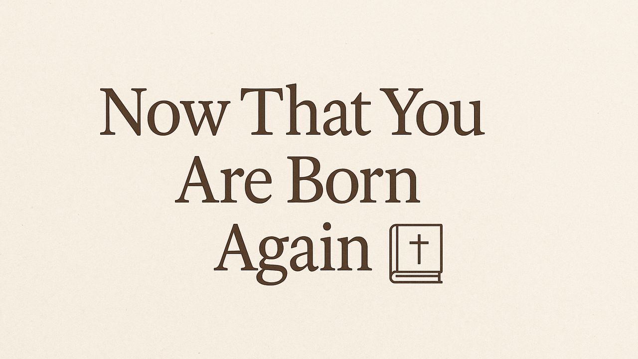 Now That You Are Born Again