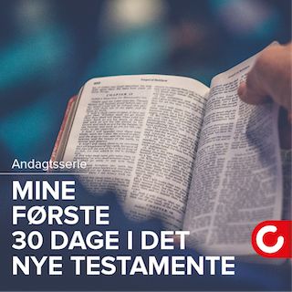 Mine første 30 dage i Det Nye Testamente