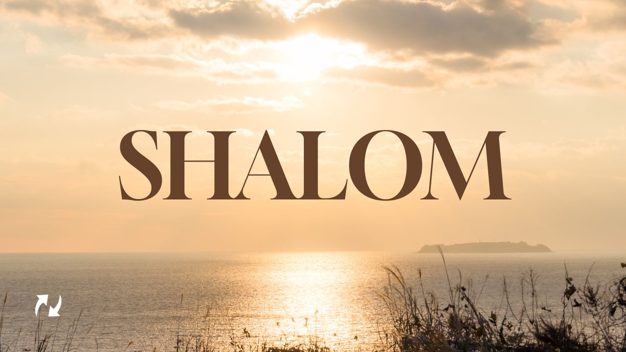 Shalom - App da Bíblia