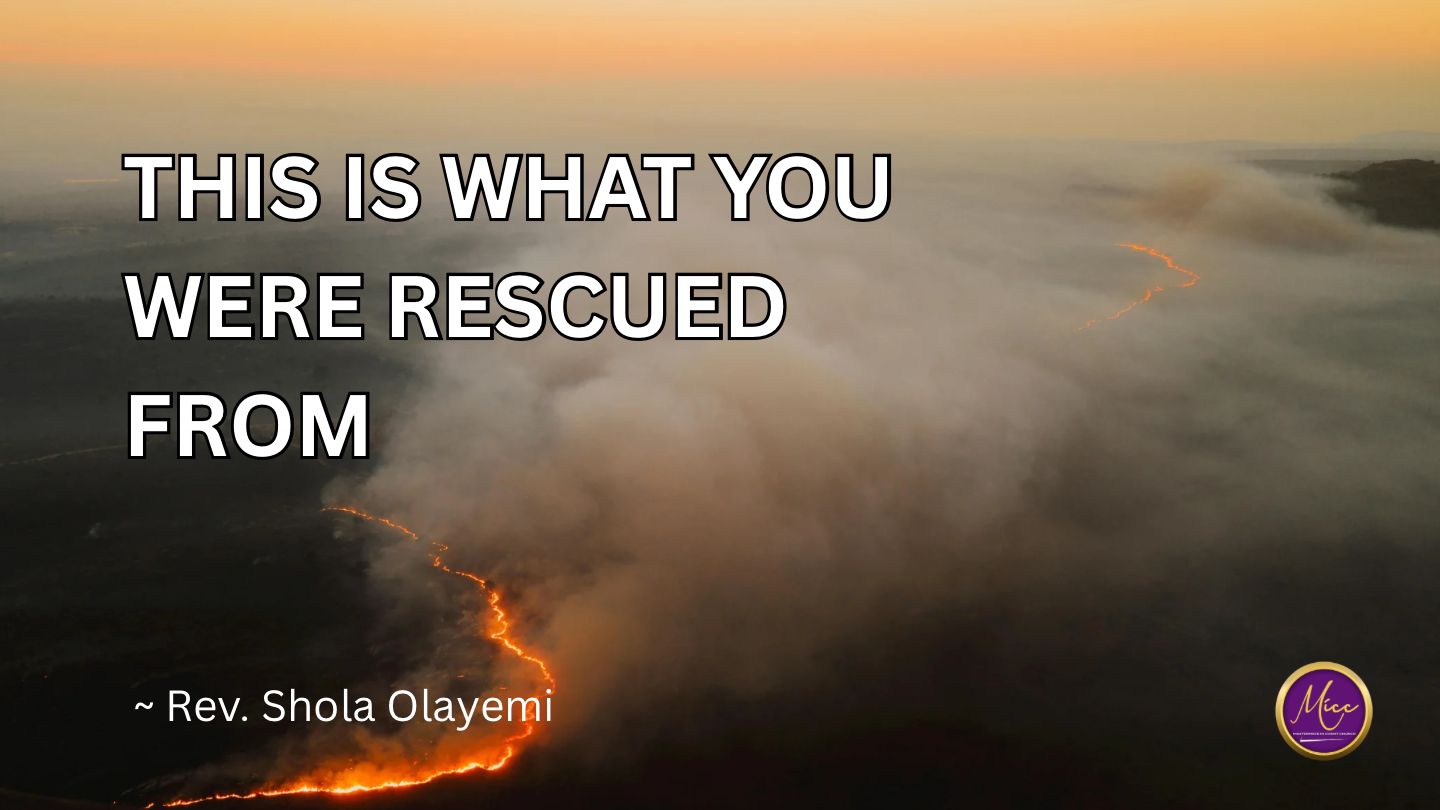This Is What You Were Rescued From