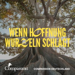 Wenn Hoffnung Wurzeln schlägt