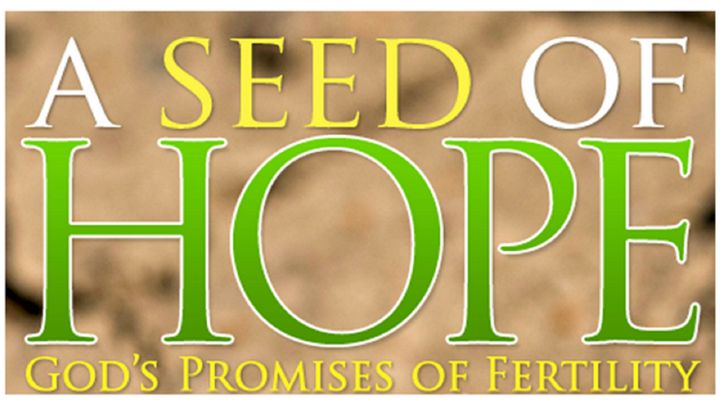 A Seed of Hope During Infertility